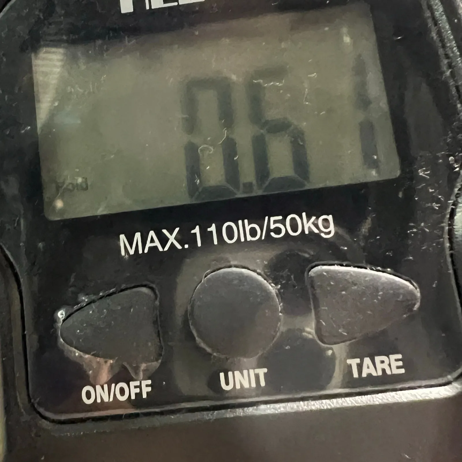 Anthropologie Bias Satin Midi Skirt 8 Black Floral Romantic Fairy Whimsygoth NEW - Image 12