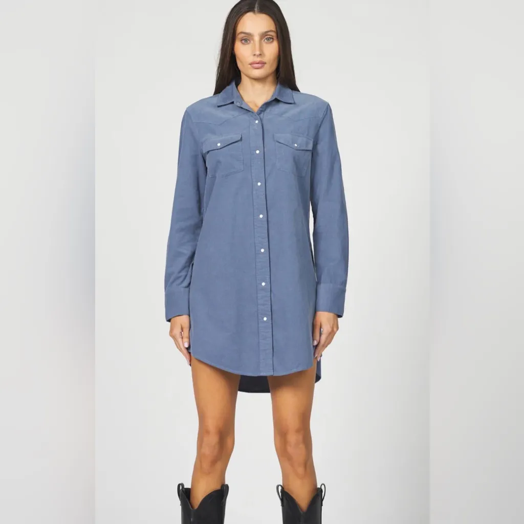 Dear John Rory Dusty Blue Corduroy dress size Small - Image 4