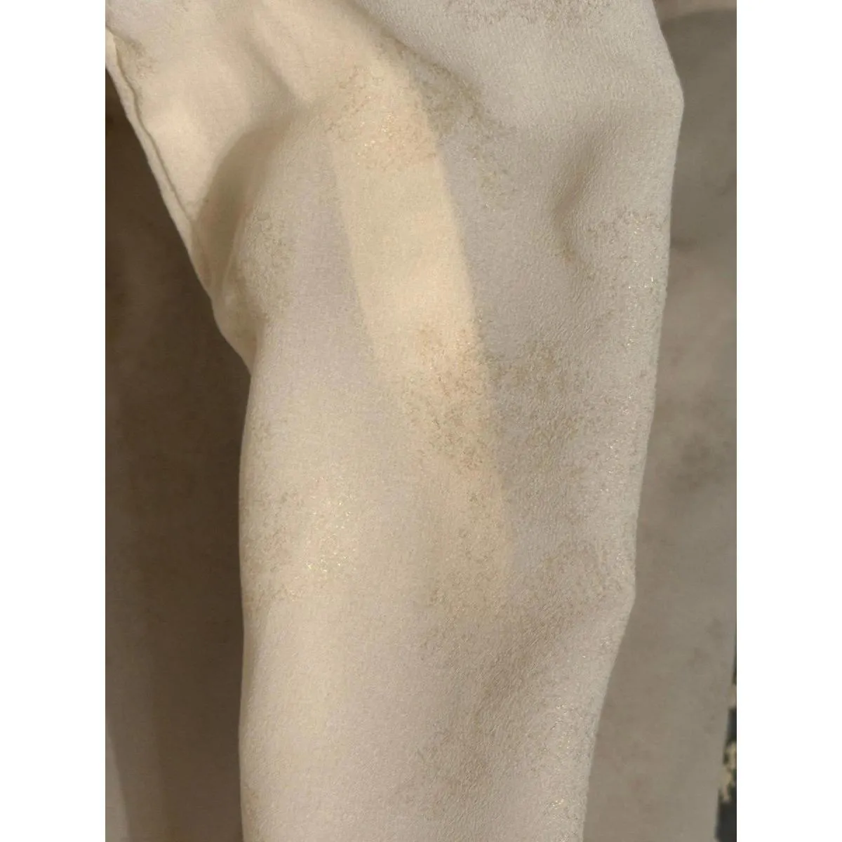 Abercrombie and Fitch Sheer long-sleeve button up blouse, womens size Medium - Image 4