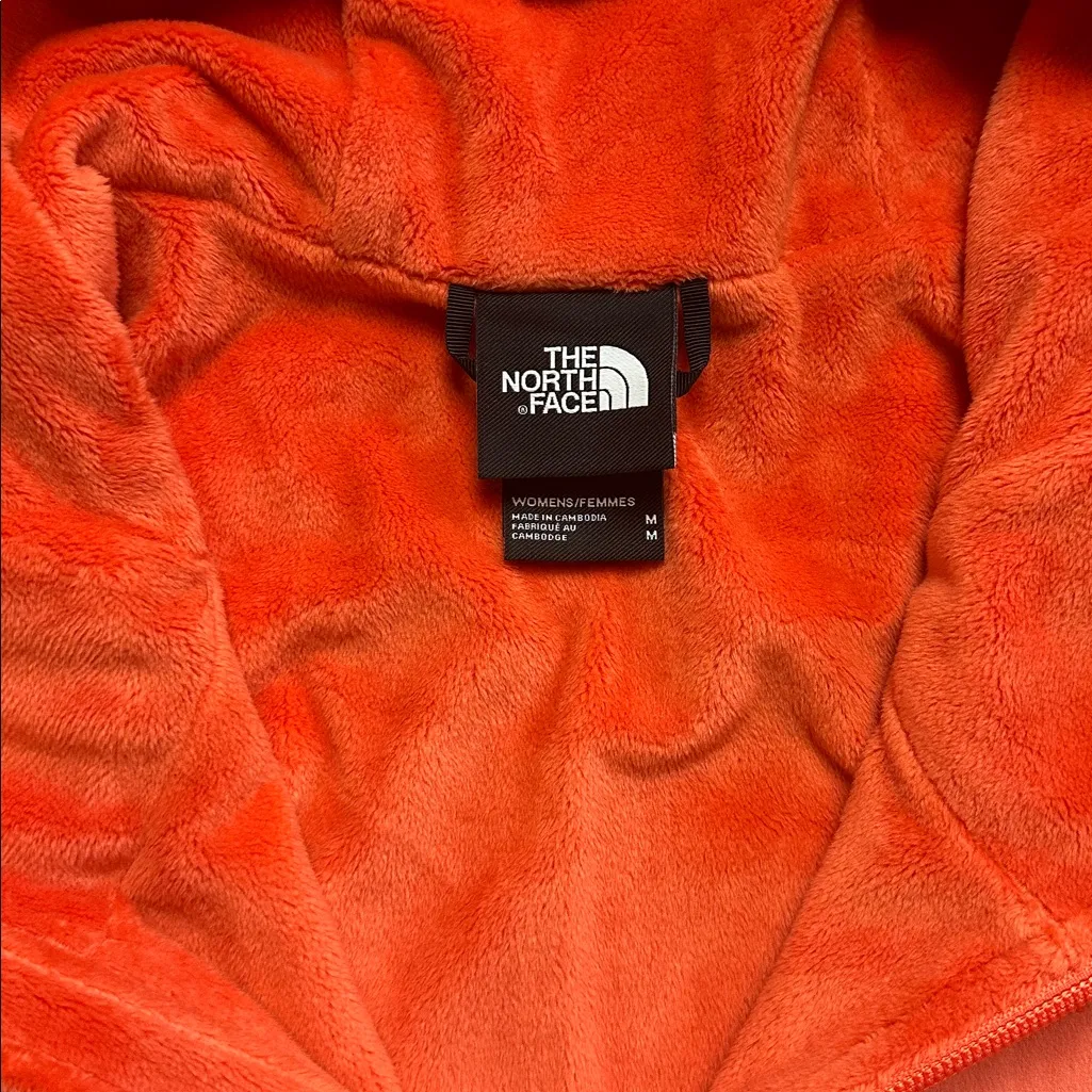 NWOT NORTH FACE SHELBE RASCHEL FLEECE LINED JACKET HOODED - Image 3