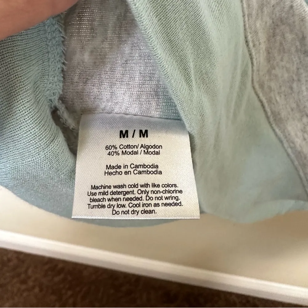 The Limited mint & gray stripe long sleeve heavyweight tshirt EUC Medium - Image 3