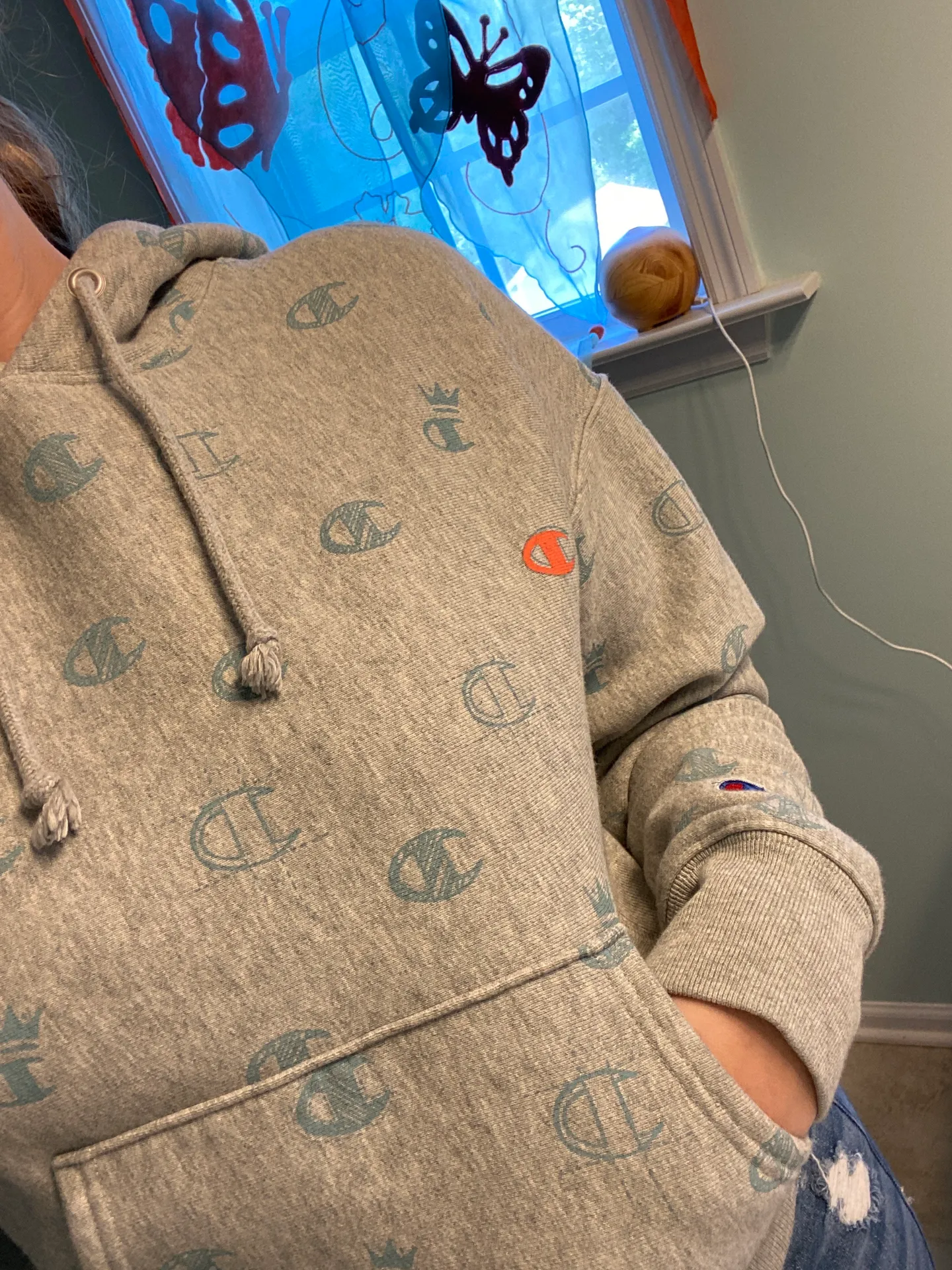 Champion Hoodie - Image 2