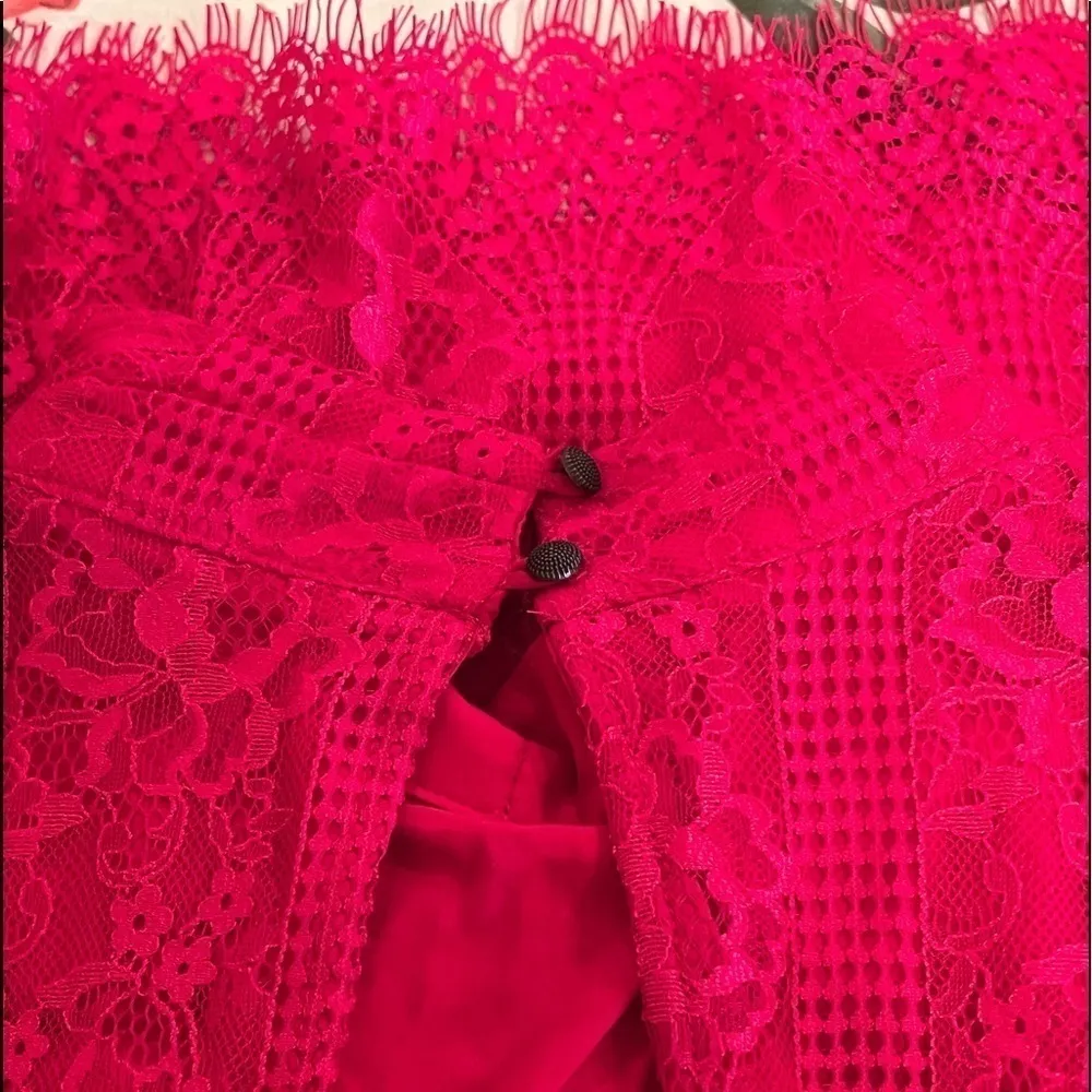 ANTHROPOLOGIE Maeve Open Back Lace Mini Dress Raspberry Size 12P NEW $190 - Image 9