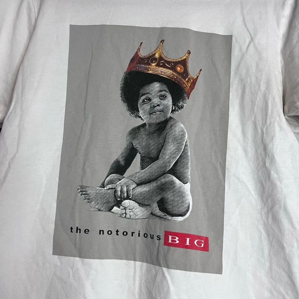THE NOTORIOUS BIG T - Image 2