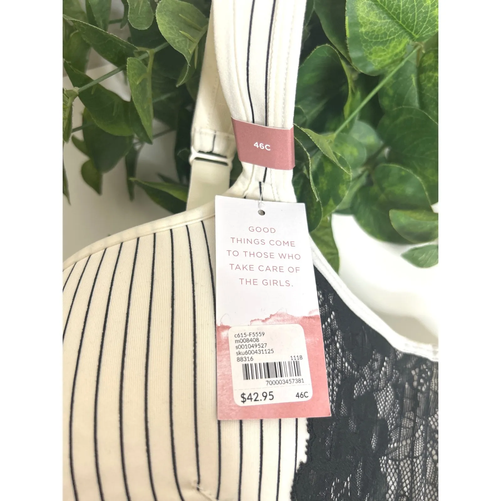 Cacique NWT Modern Lightly Lined Balconette Bra Size 46C Stripe Black Lace - Image 8