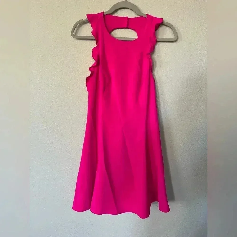 JayGodfrey Fuchsia Ruffle Fit & Flare Mini Dress Women’s Size 10 Pink - Image 4