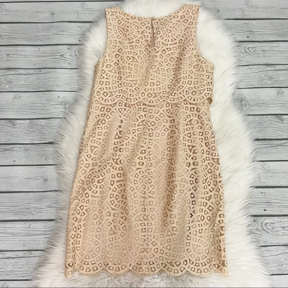 J. Crew Cream Lace Dress - Image 6