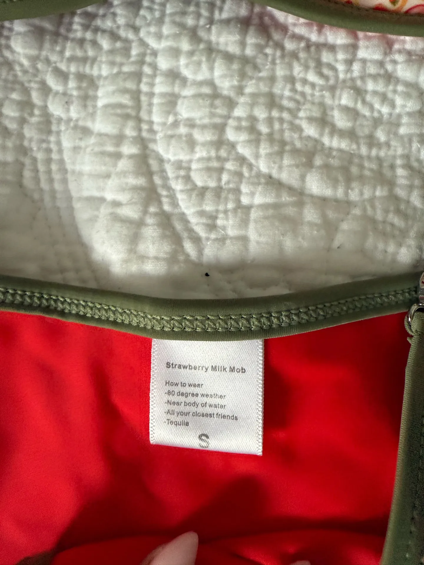 Strawberry Milk Mob Bikini set Green - Image 3