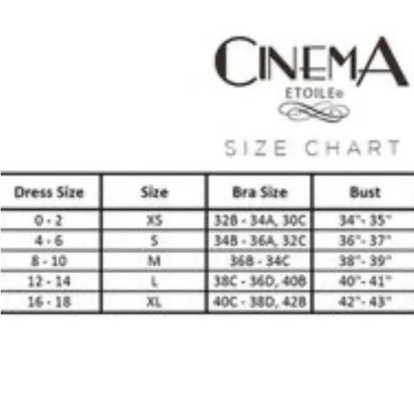 Cinema Etole Pink & Black Contour Cup Sheer Lace Sleep Dress Nightie L Size L - Image 7