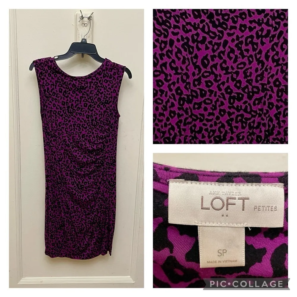 LOFT Petites Purple Leopard Print Ruched Sheath Dress Petite Small - Image 2