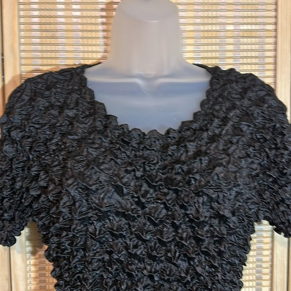 Vintage No Tags at All Black Cropped Silk Feel Stretchy Ruffled Short Sleeve Top Size undefined - Image 2