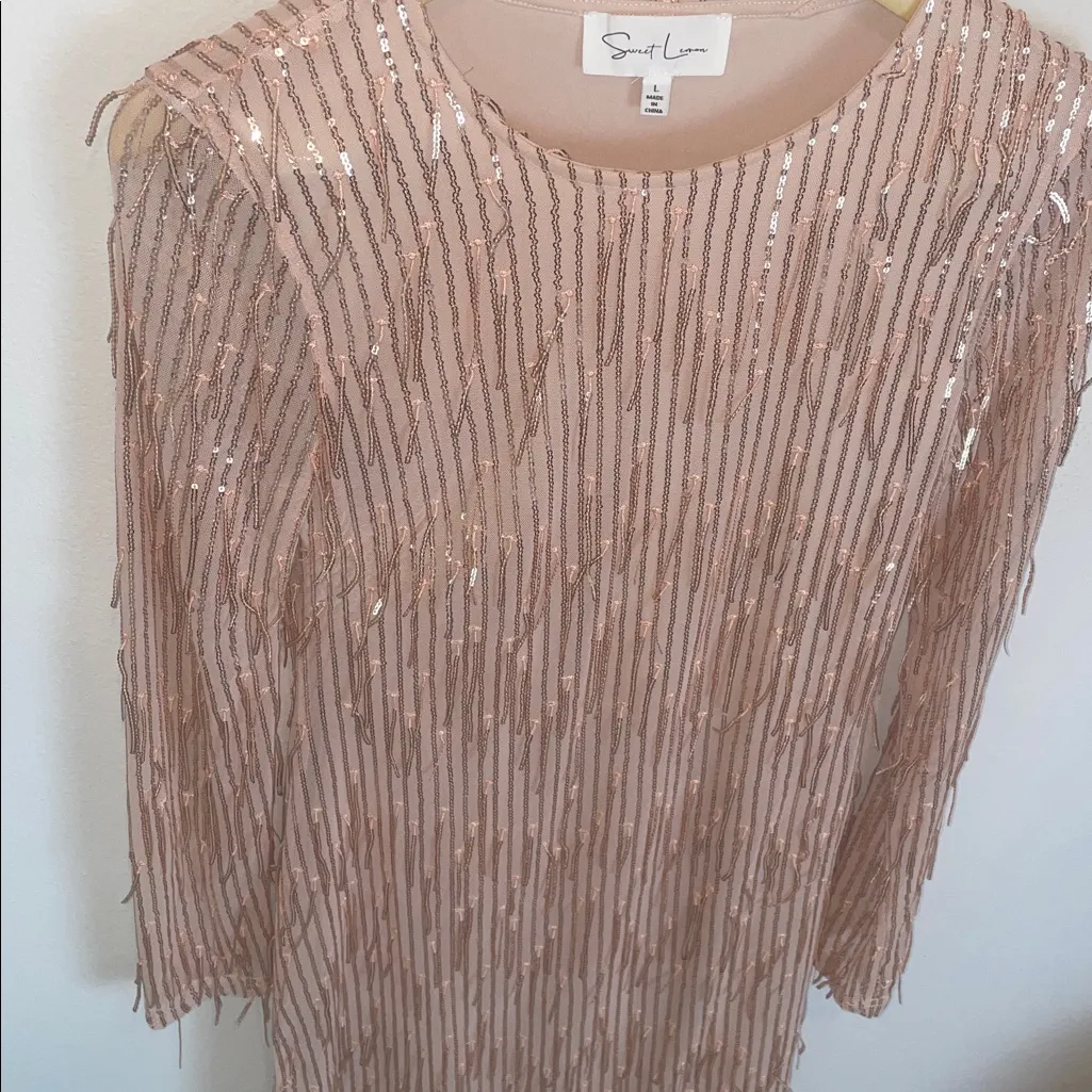 Champagne Pink Sequin Fringe Long Sleeve Mini Party Dress Size L - Image 6