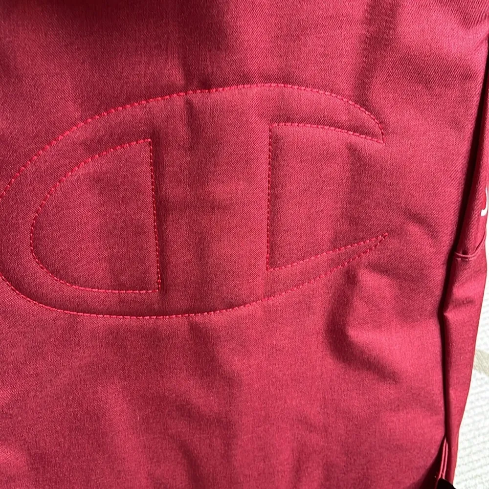 Champion CS1002 21L Performance Laptop Student Travel Multi-Purpose Backpack Red - Image 8