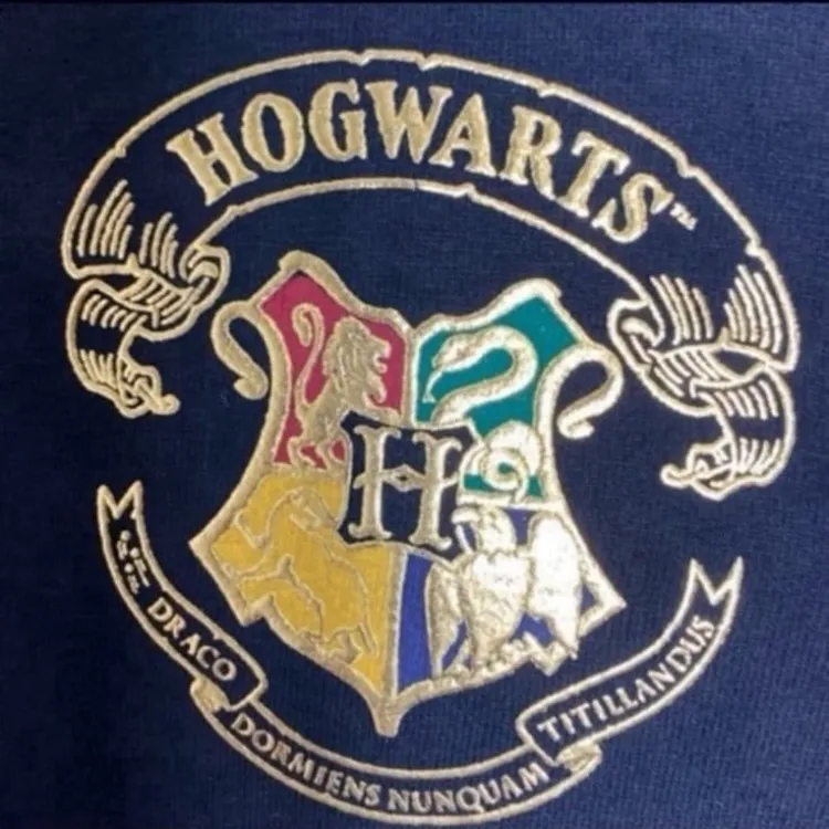 Harry Potter Hogwarts school crest spirit jersey extra small Xs - Image 3