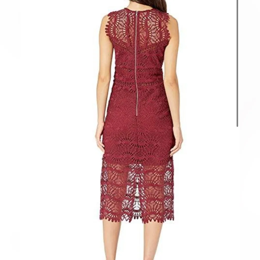 Bardot Mariano Lace Sheath Dress in Burgundy Wine Mulberry size US 10 Large - Image 4