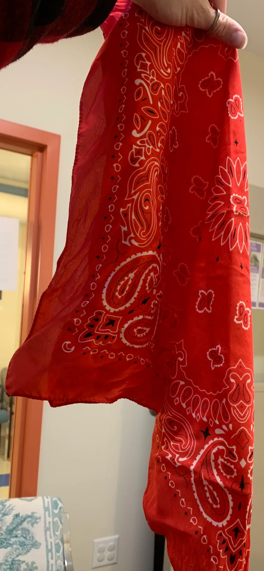 Red Bandana - Image 4