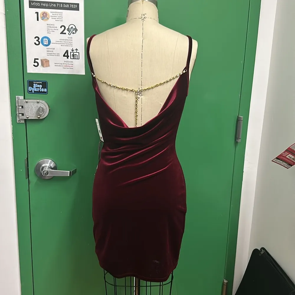 Apparel Embellished Cowl Neck Velvet Dress in Wine - Image 2