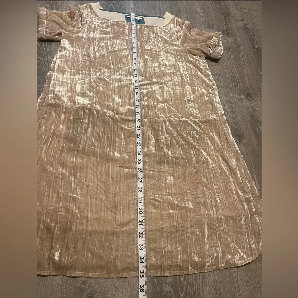 Anthropologie Floreat Champagne Crinkle Velvet Shift Tunic Style Dress Size S - Image 3