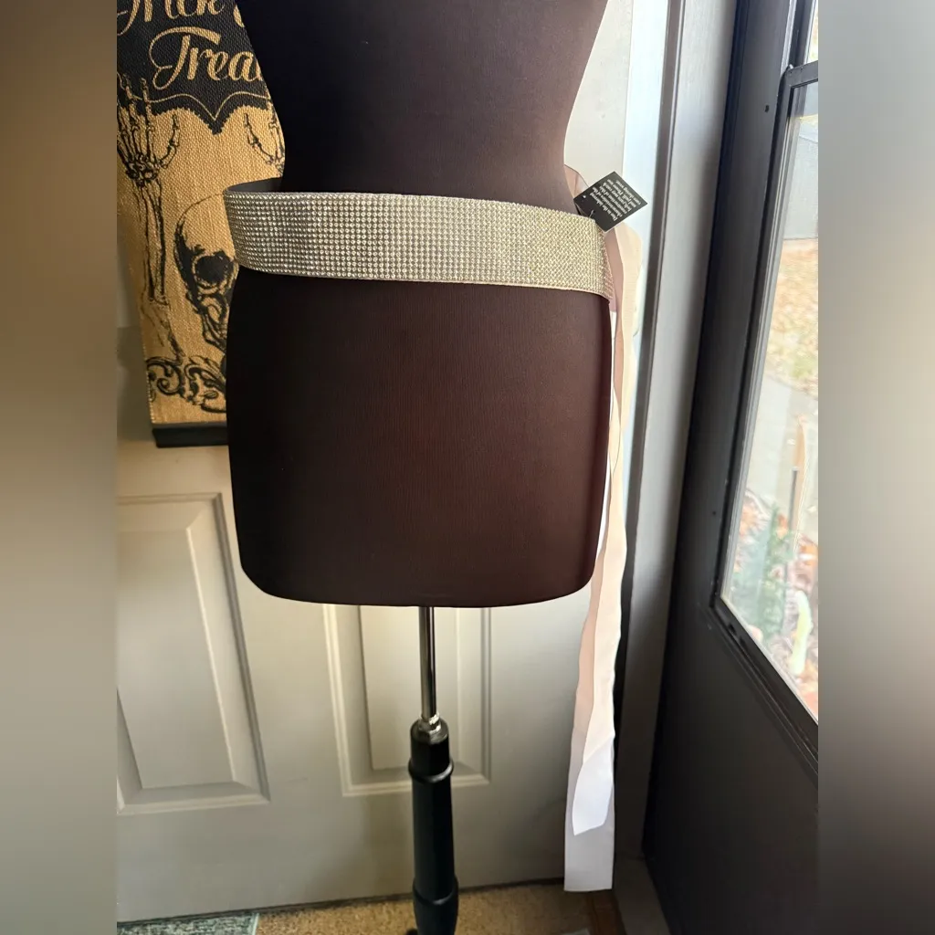 WHBM crystal plated ribbon tie belt, one size NWT - Image 11