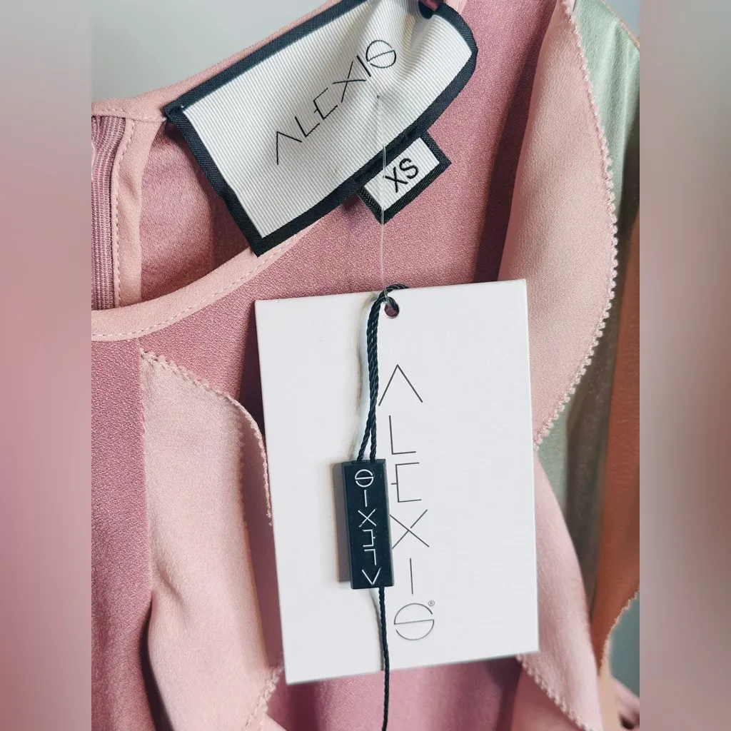 Alexis Keely Colorblock Blush Pink Sage Mint Green Ruffle Mini Dress NWT - Image 9