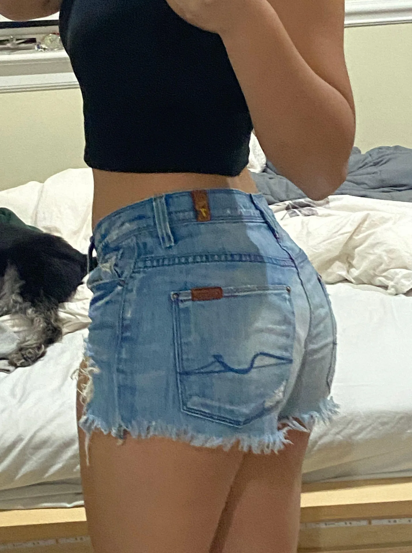 7 For All Mankind Jean Shorts - Image 2