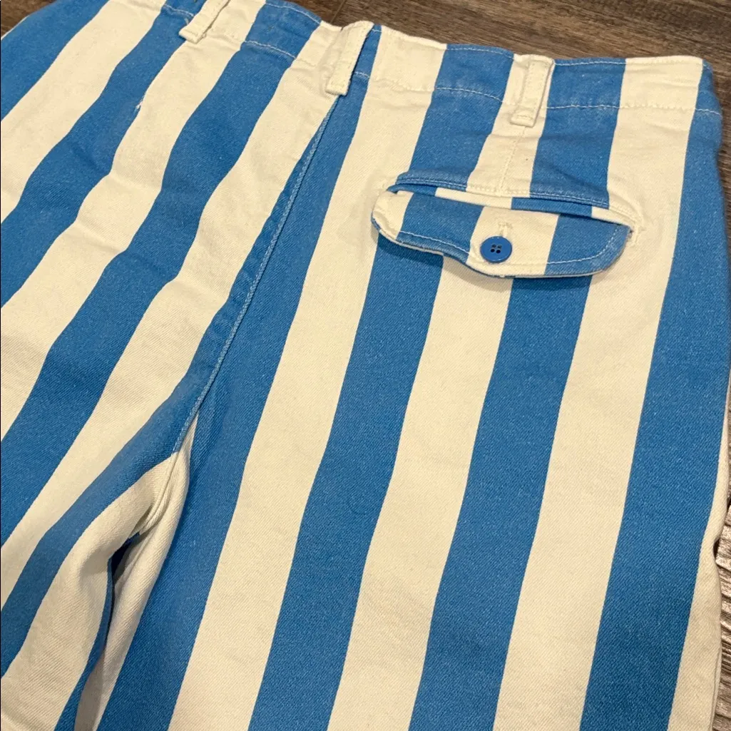 ANTHROPOLOGIE Maeve Parasol Stripe Blue & White Dad Shorts size 8 - Image 10