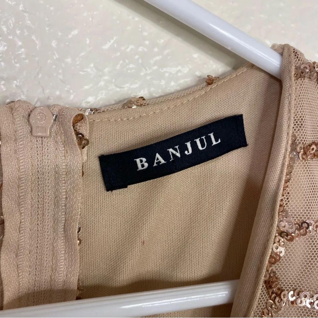 Banjul Sequined Nude Bronze‎ Midi Cocktail Dress Party Birthday Size Small - Image 9