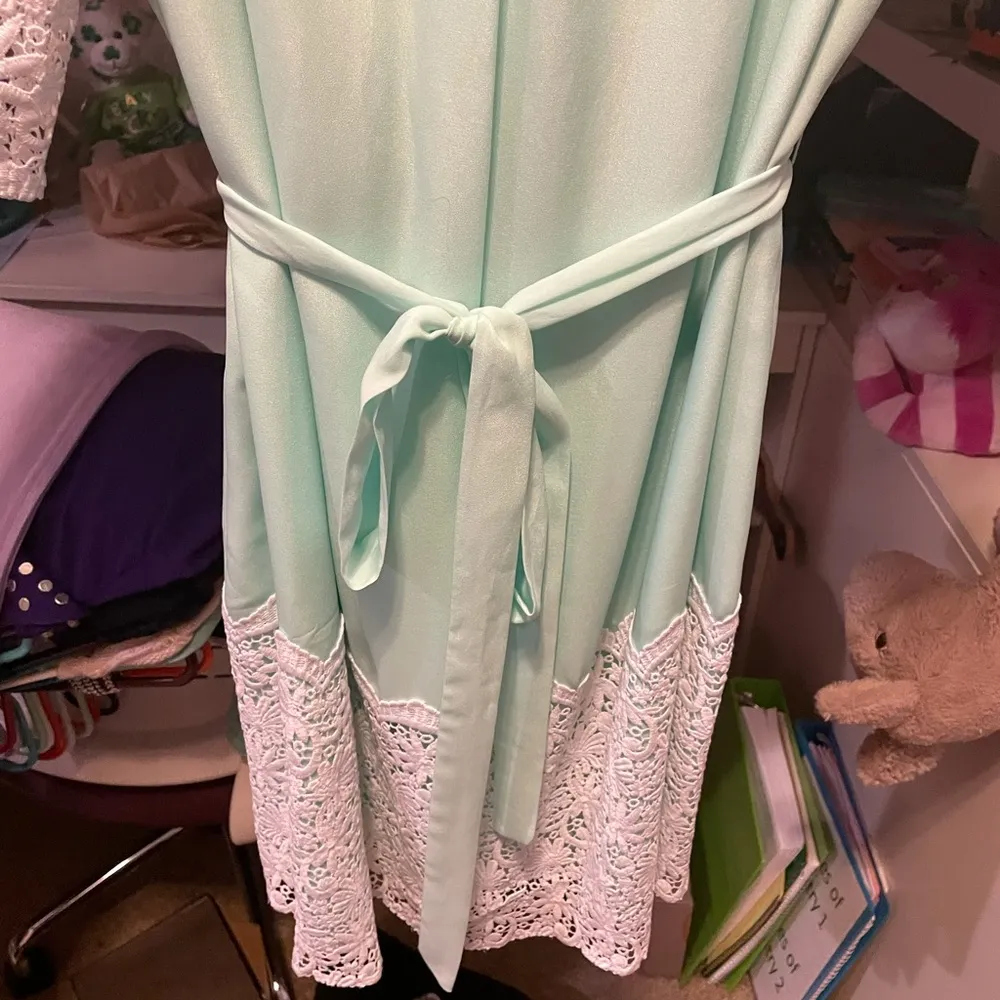 Gianni bini mint dress - Image 6