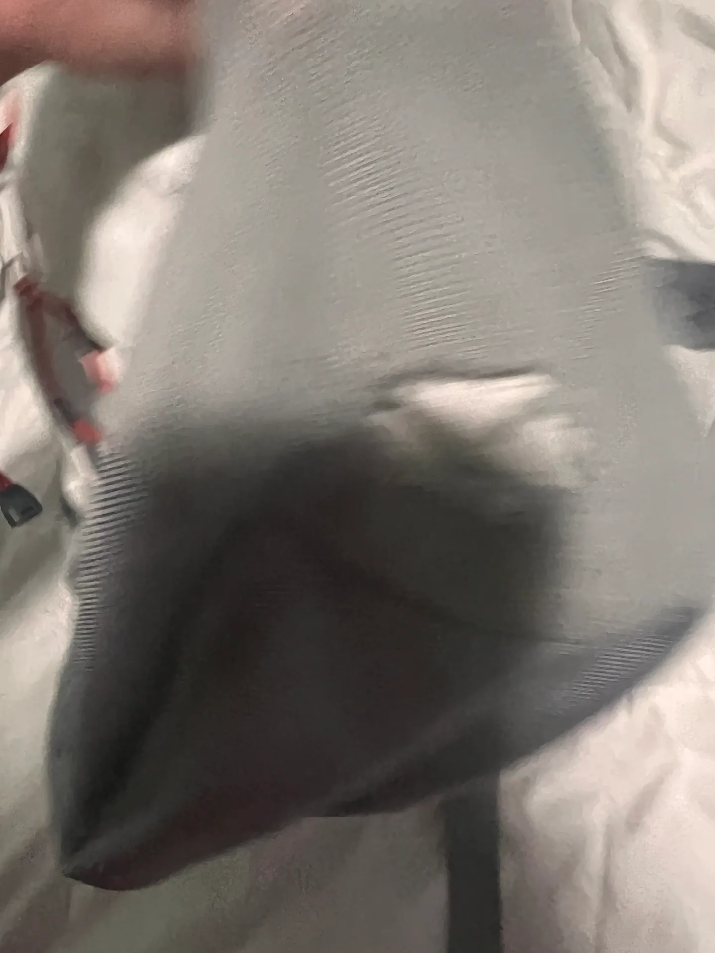 The North Face Backpack - Image 4