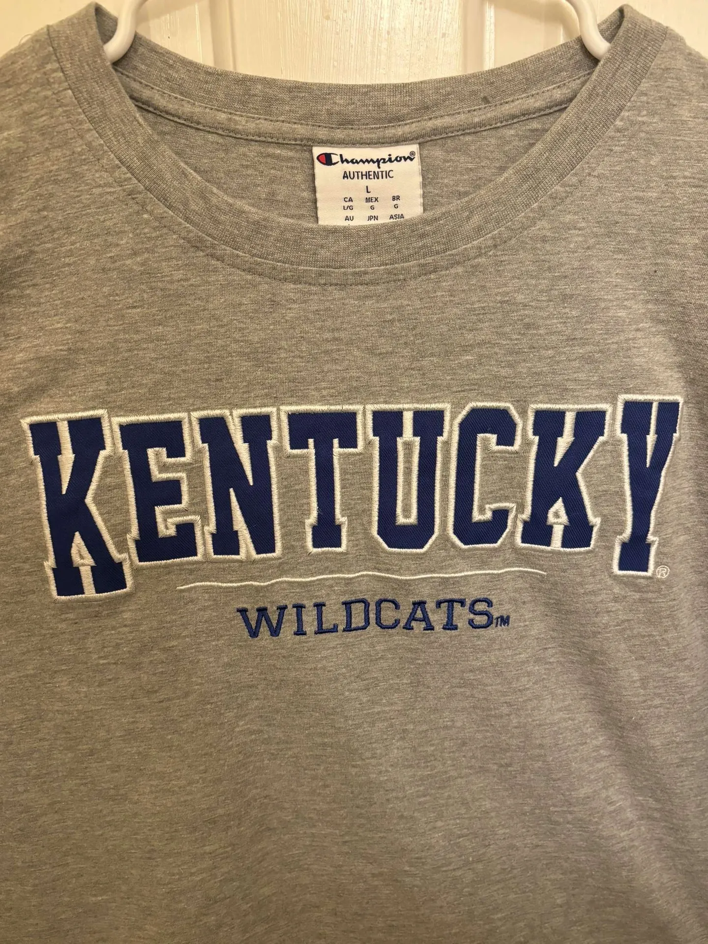 Champion Kentucky Wildcats Y2K Gray Vintage T-Shirt - Image 2