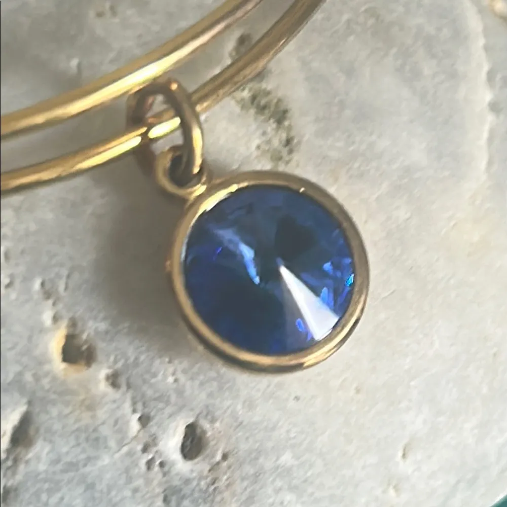 Alex and Ani September Birthstone Sapphire Crystal Charm Bangle Bracelet - Image 7