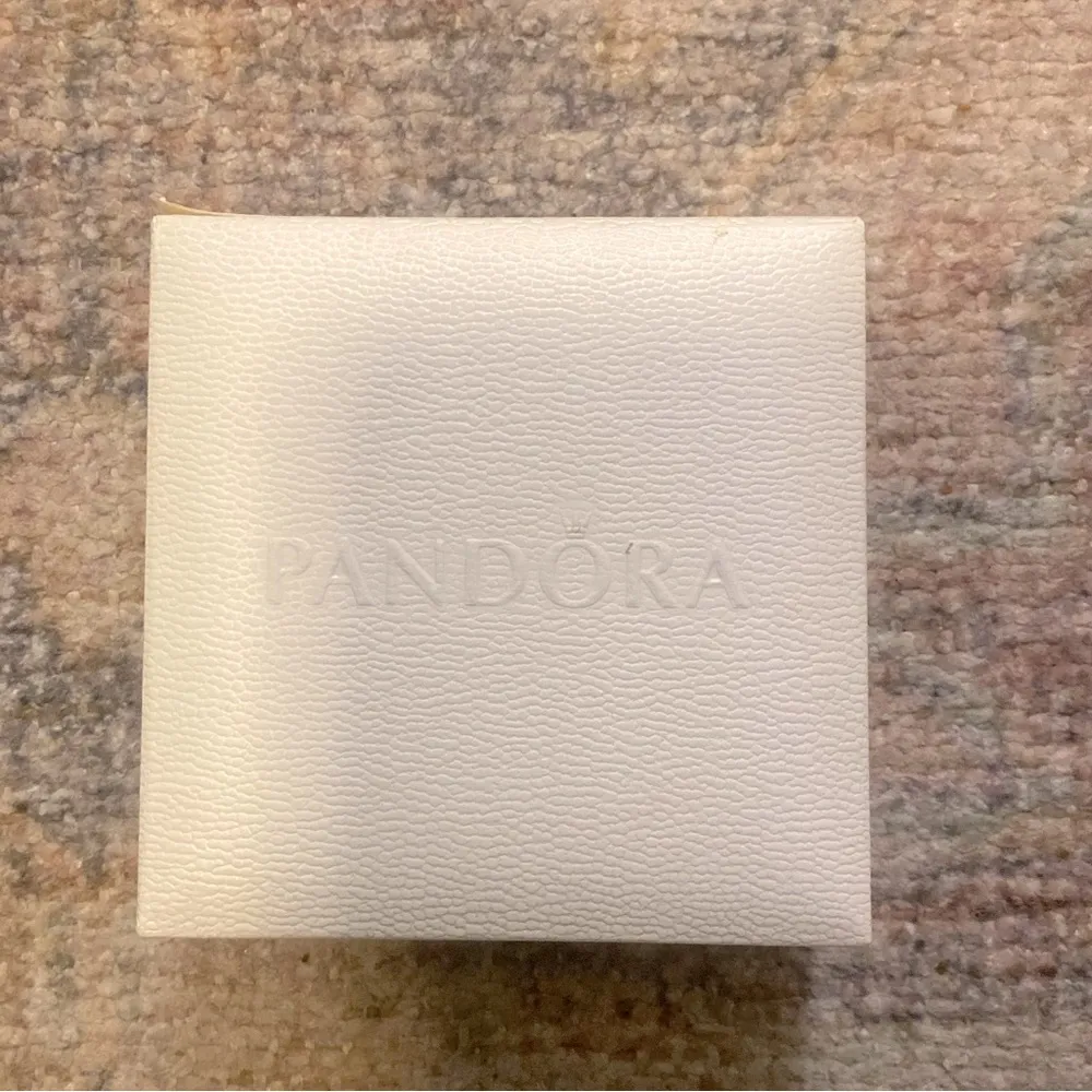 COPY - PANDORA Iconic Moments Snake Chain Charm Bracelet - Image 11