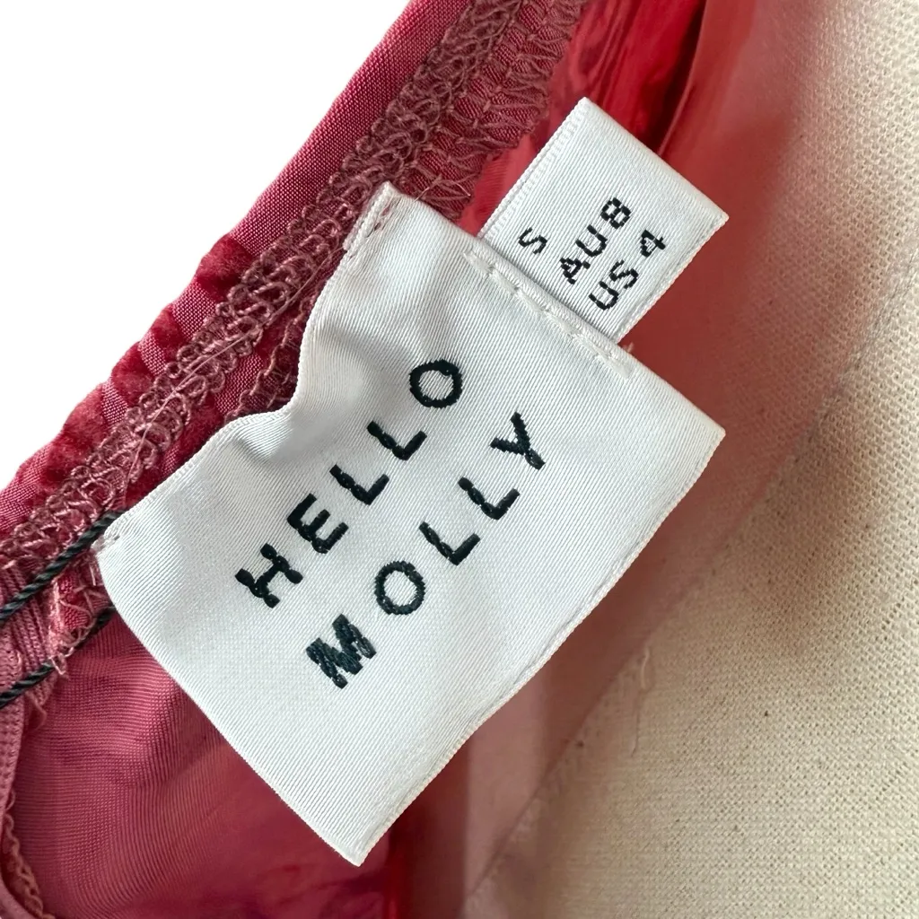 Hello Molly Found Myself Maxi Dress Pink Sz 4 NWT Floral Burnout Velvet - Image 10