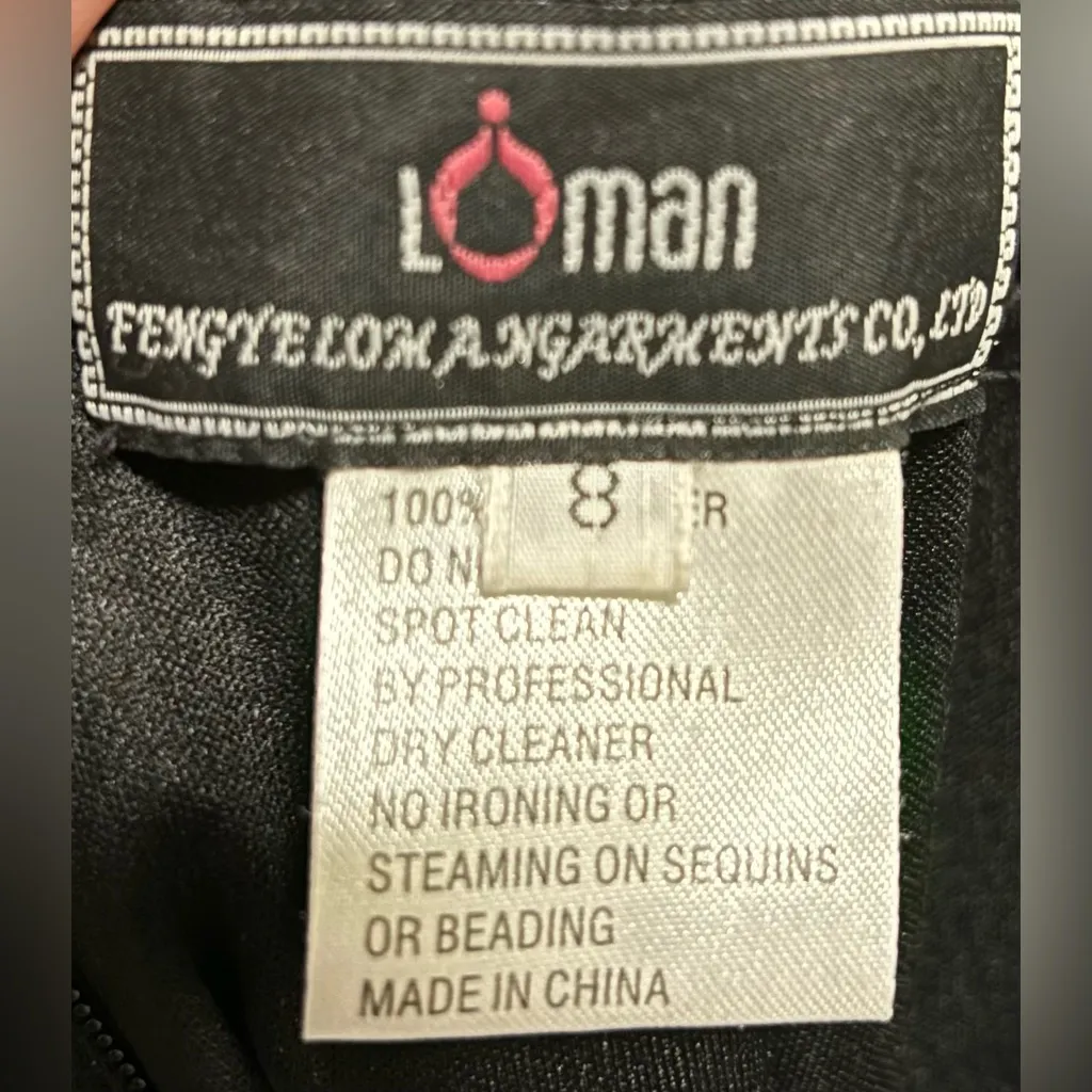 Fengye Loman Gorgeous Beaded Prom/ Black Tie Event Dress Size undefined - Image 6