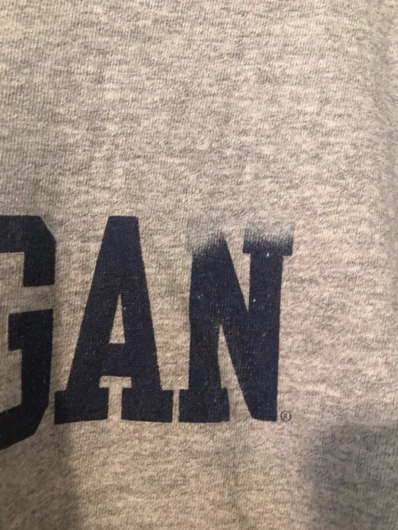 Champion Michigan Shirt - Image 3