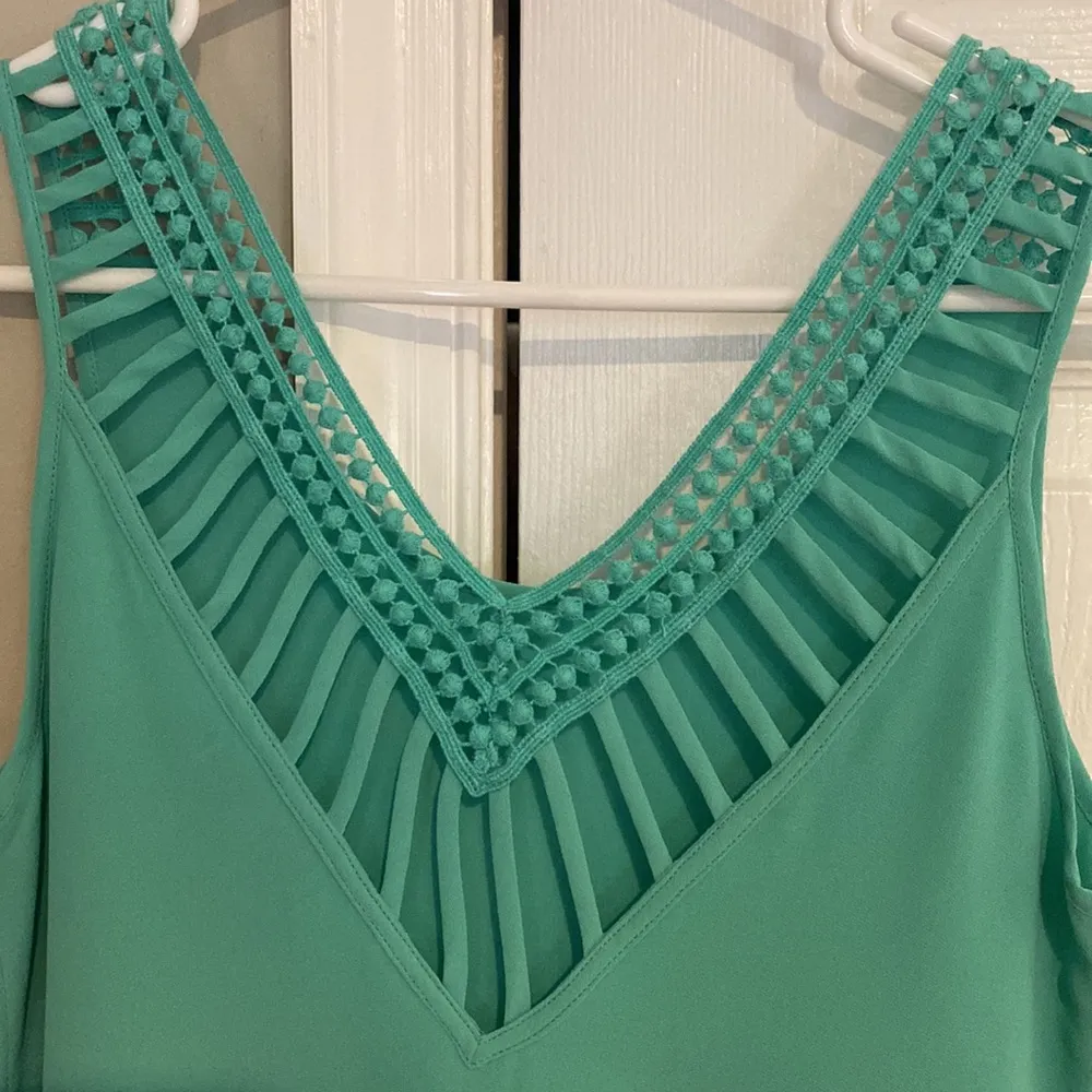 Boutique Naked Zebra Tank Top - Image 3