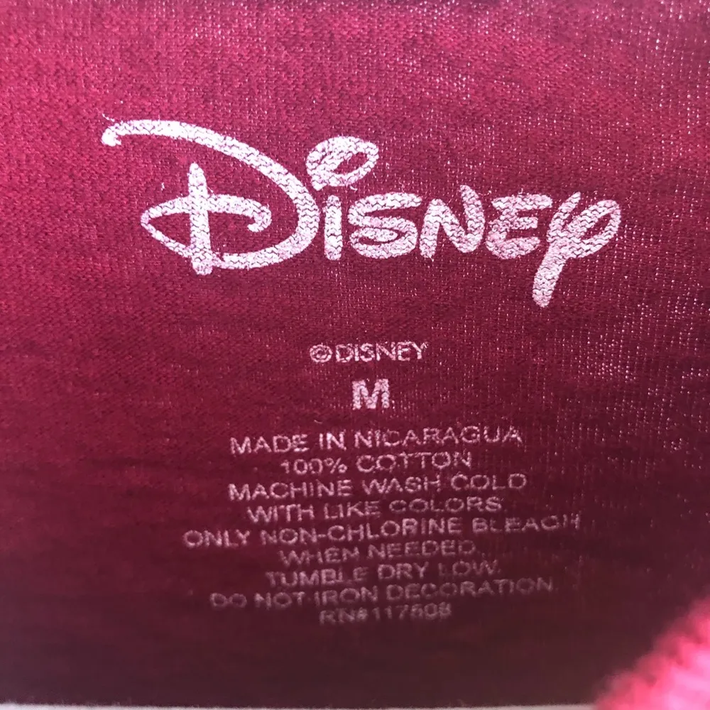 Disney Crop Top Lion King Hakuna Matata Raw Hem Long Sleeves Sweatshirt Sz M GUC - Image 10