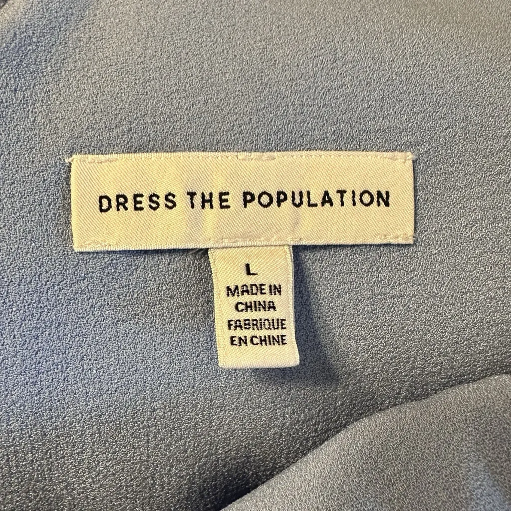 Dress The Population Darleen V-Neck Embroidered Mesh Midi Dress Sky Blue Large - Image 8