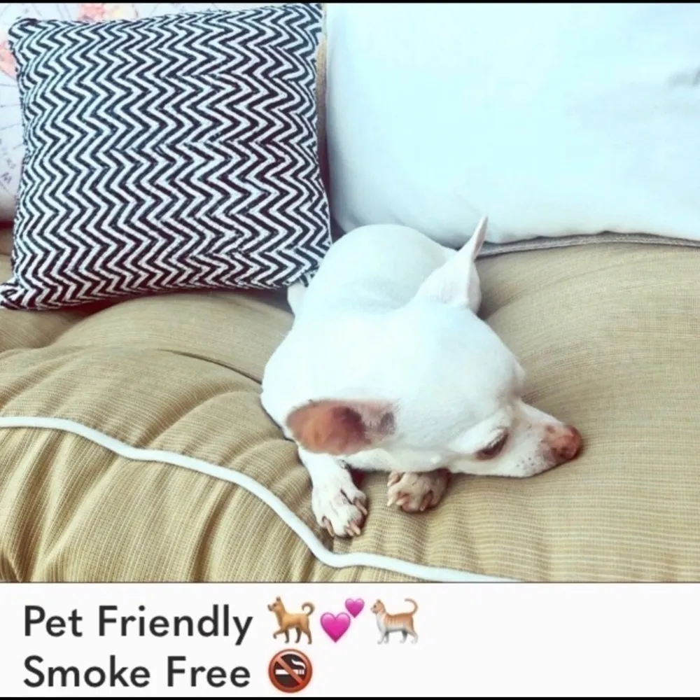 Hot Topic - Box  Lunch 𝅺purple 
NWOT- Te Amo Tequila - Image 9