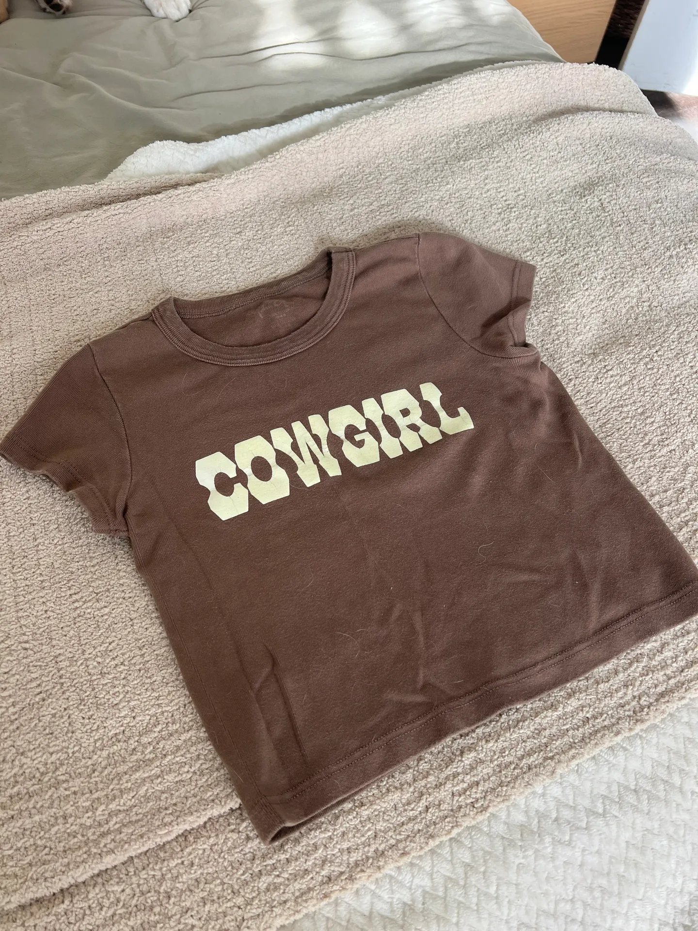 Brandy Melville Brown Cowgirl Top - Image 2