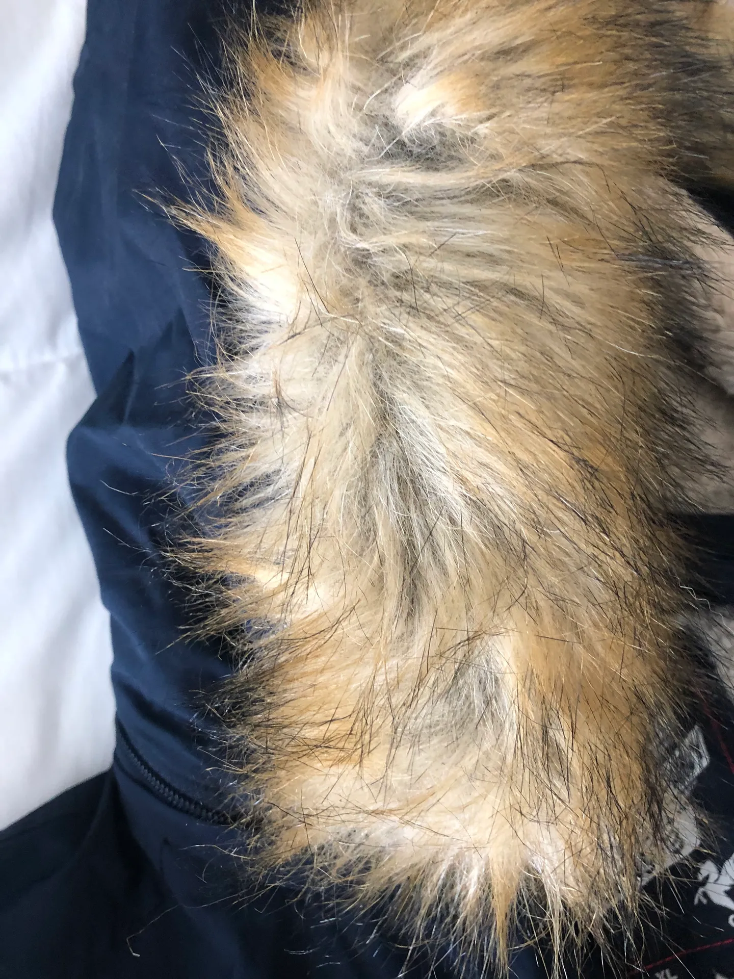 Puffa Parka Blue Size XL - Image 2