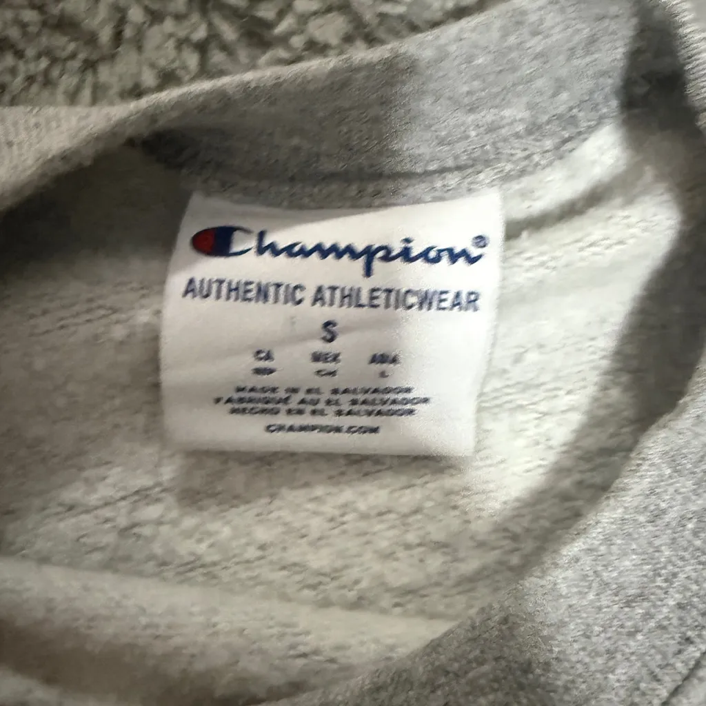 Champion Michigan Cropped and Distressed Sweater - Image 3