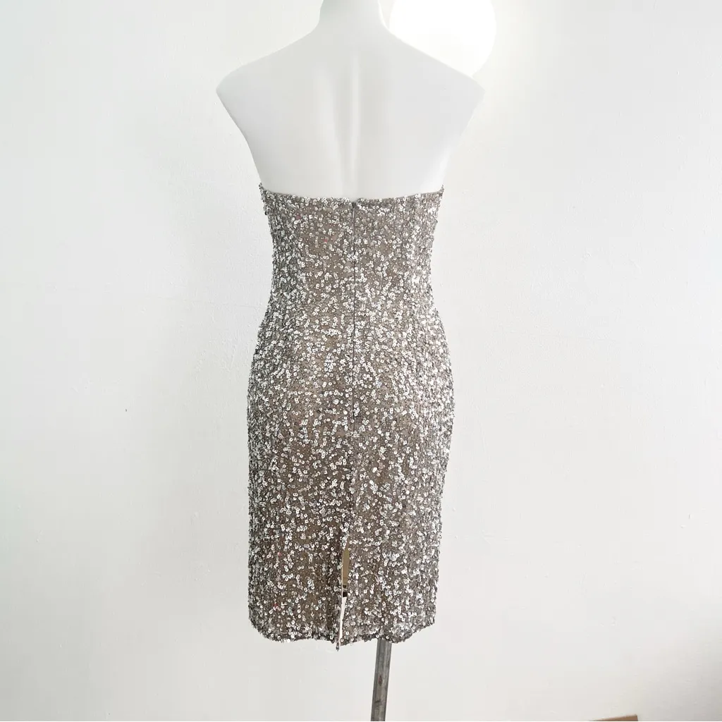 Scala Dress SMALL Silver Nude Strapless Sweetheart Silk Embellished Cocktail NEW - Image 7