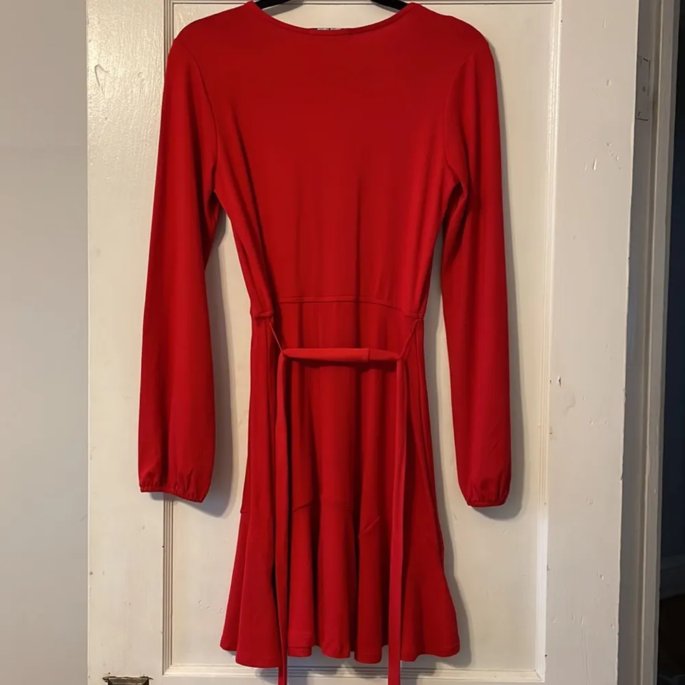 Francesca’s Dress - Image 3