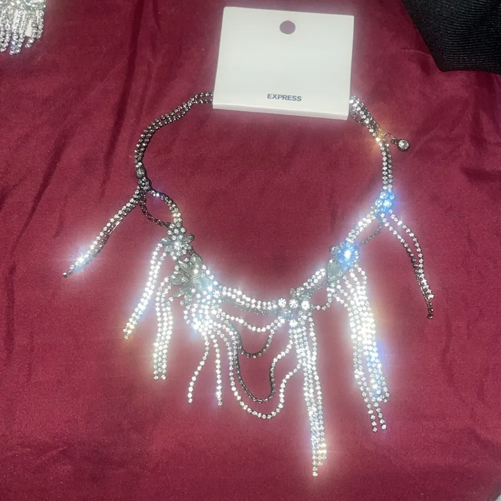 Express Draped Fringe Chain Necklace - Image 3