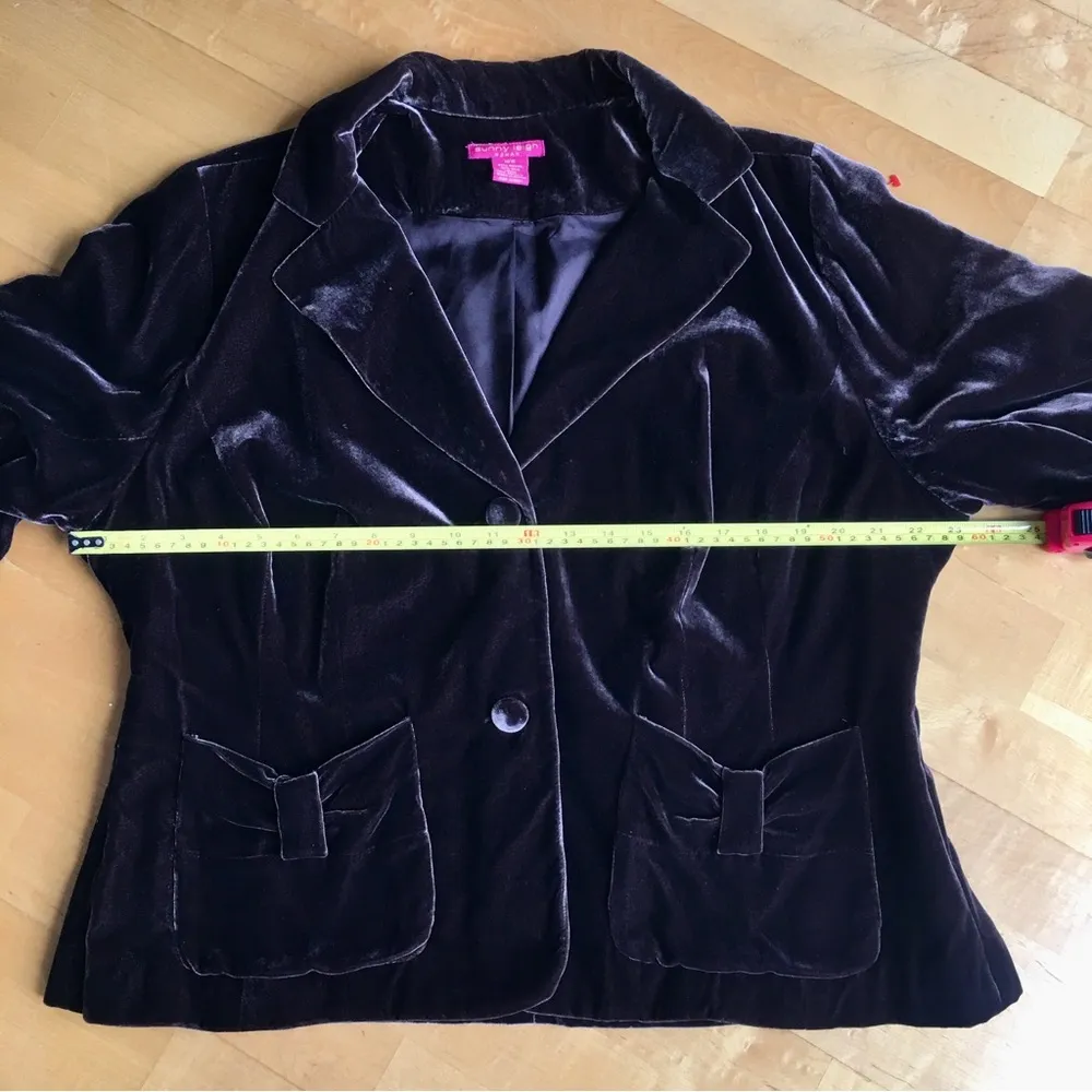 Sunny Leigh Velour Two Button Blazer, Brown, Size 18W - Image 10