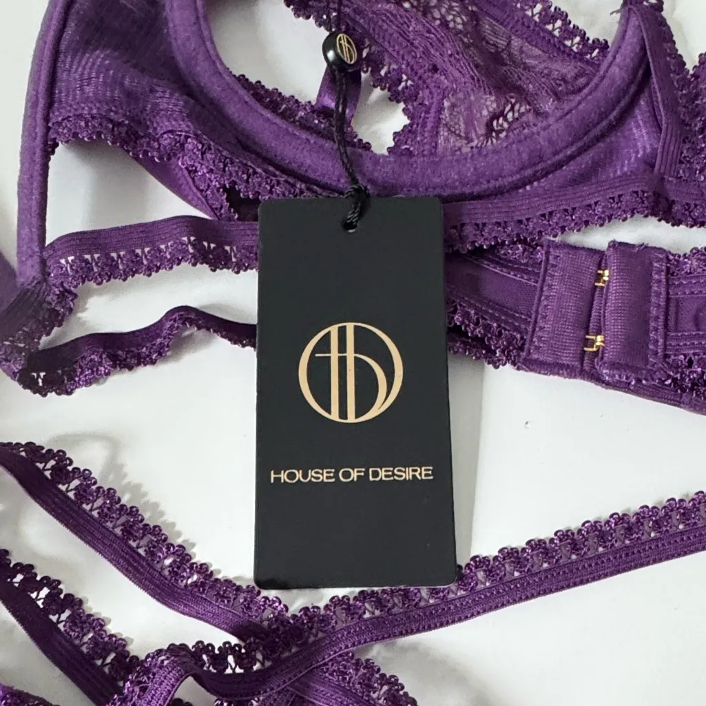 House Of Desire BIANCA STRAPPY LACE BRA, GARTER & HIPSTER SET Large NWT Purple - Image 2