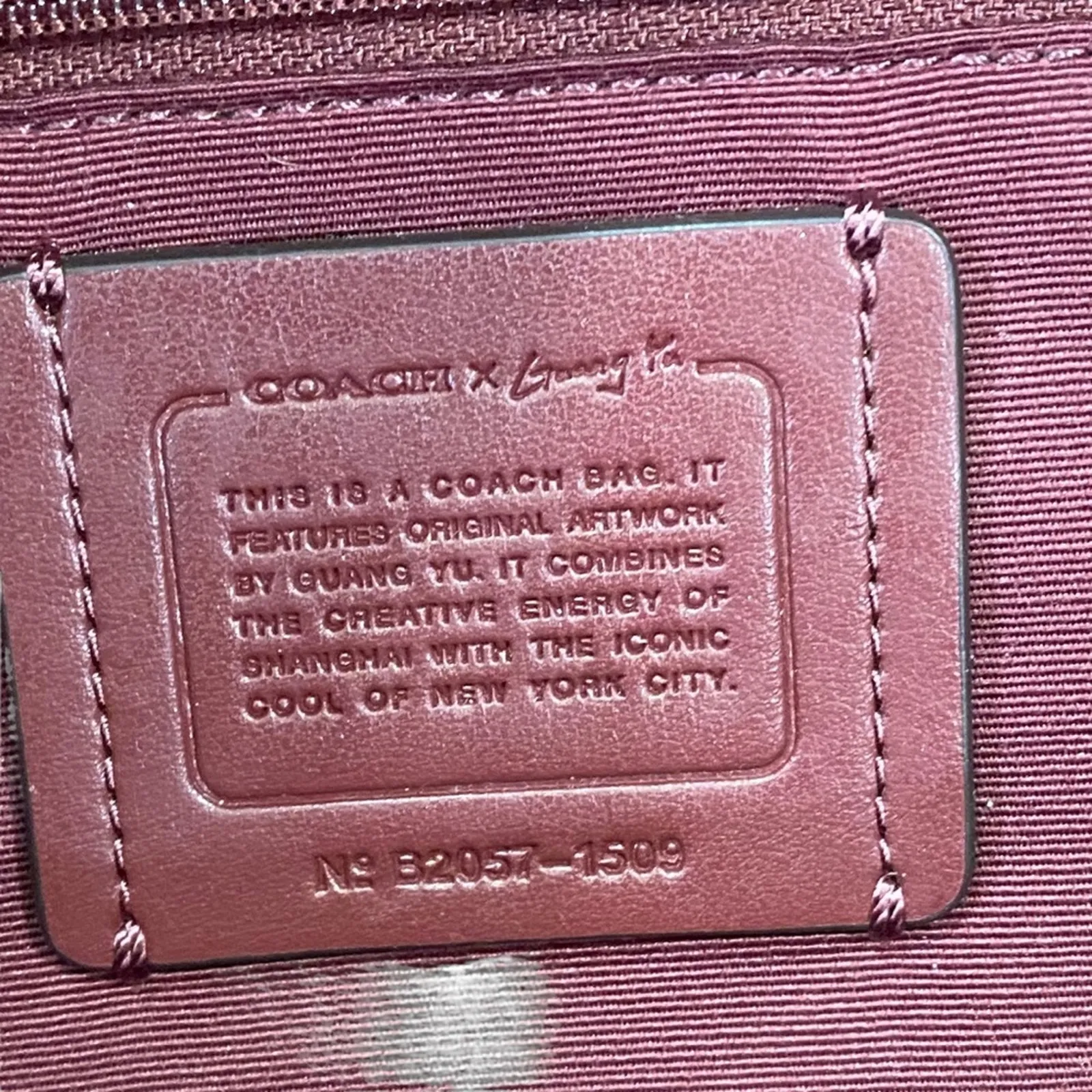 COACH Vale Medium Charlie Backpack Signature Canvas With Rexy By Guang Yu - Image 5