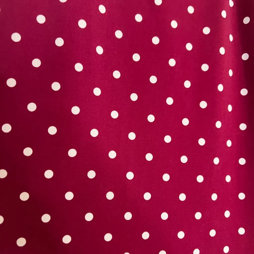 Banana Republic Charming Polka Dot Tank - Image 4