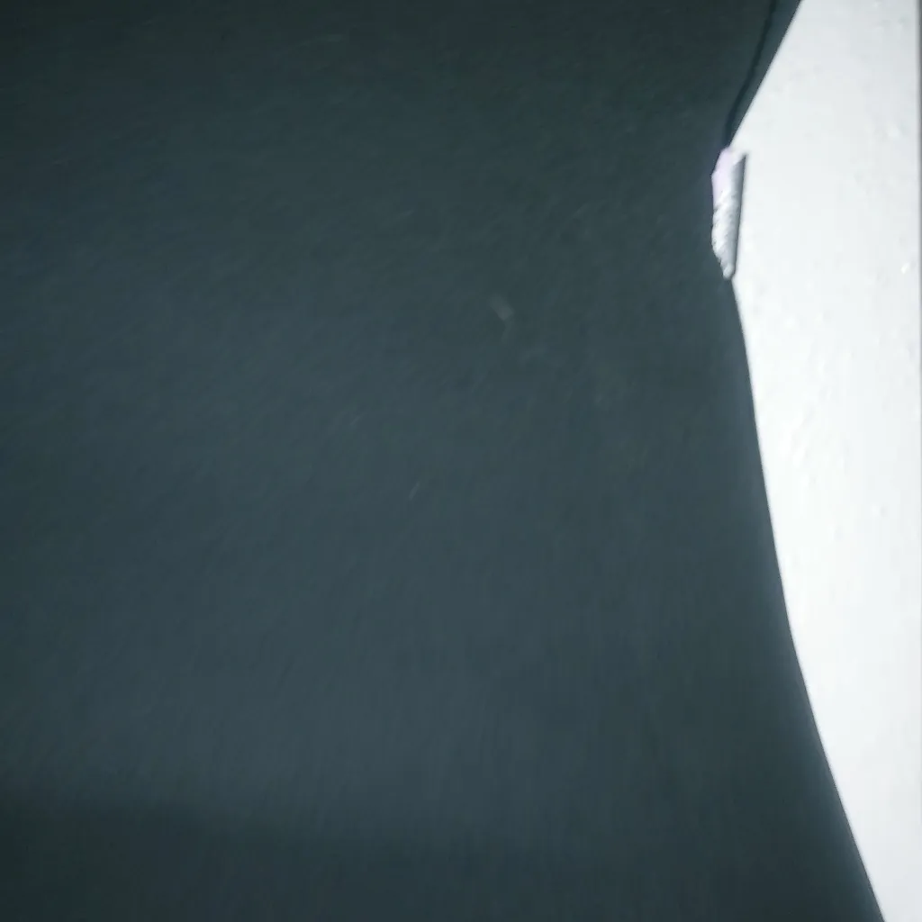 Chaus 16 34x30 Dress Pants Formal Lined Straight Leg Black Funeral - Image 3